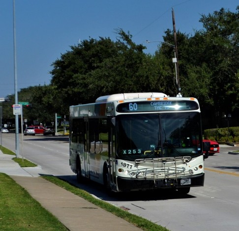 Acceso Bus